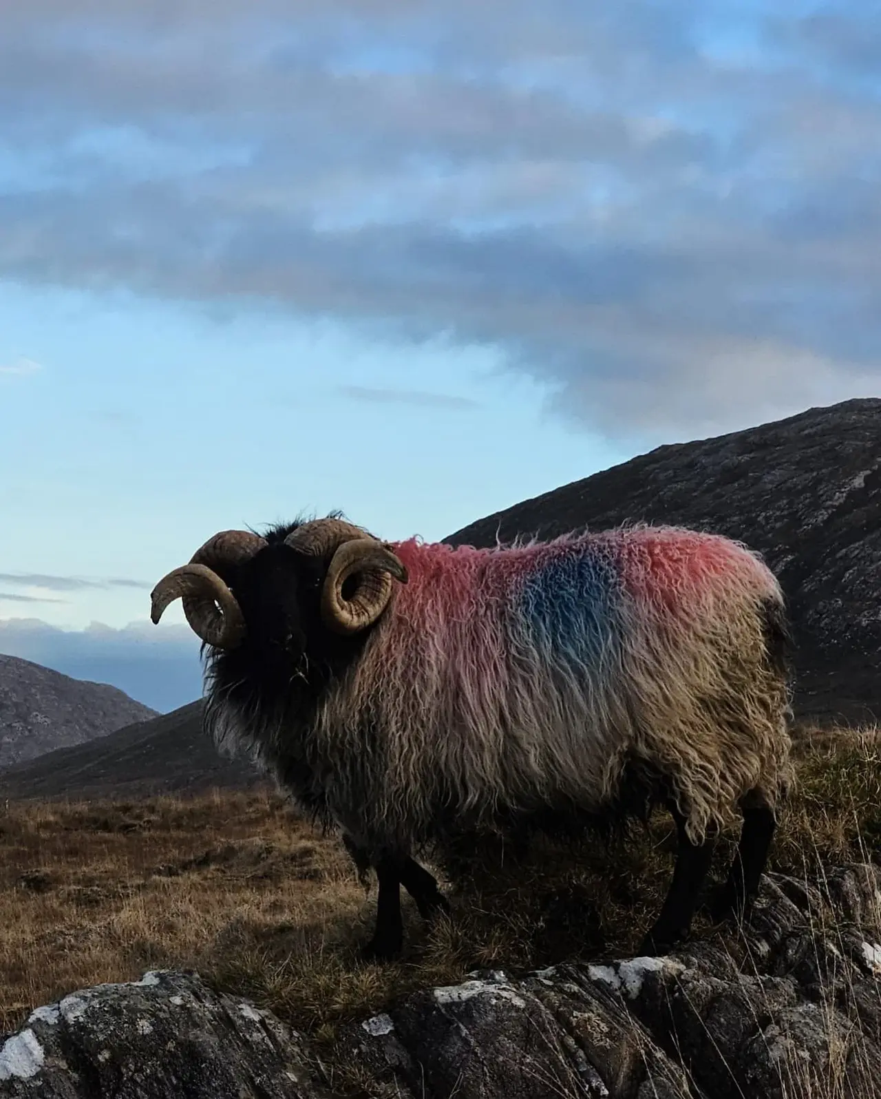 Dining room with handcrafted pendant lighting